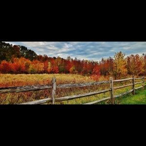 Meet your Posher, Mackenzie